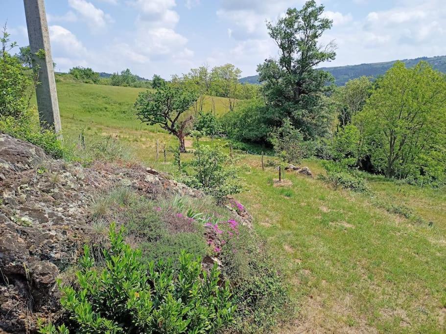 Ecrin De Verdure En Ardeche Verte Colombier-le-Vieux Exterior foto